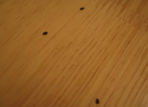 木器漆消泡劑的價(jià)格是多少