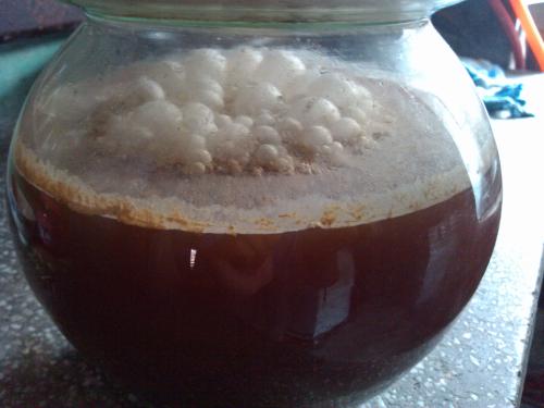 藥廠的泡沫問題？不用怕！制藥廠用消泡劑來搞定！