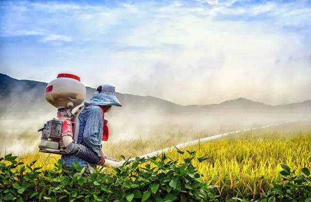 農(nóng)藥是鐵，農(nóng)藥消泡劑是鋼
