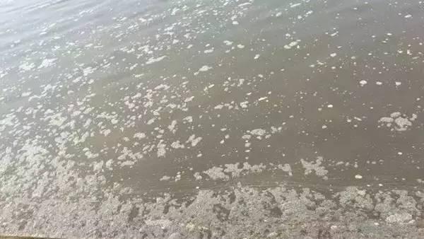 原來是沒用池塘用消泡劑，難怪池塘中的泡沫控制不住！