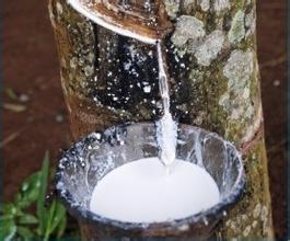 合成膠乳用消泡劑在合成膠乳在應(yīng)用