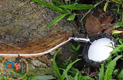 橡膠樹脂消泡劑.jpg 橡膠樹脂消泡劑在橡膠行業(yè)中應用