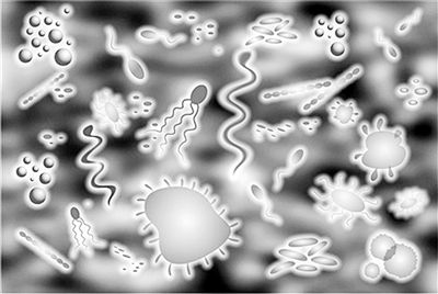 微生物用消泡劑.jpg