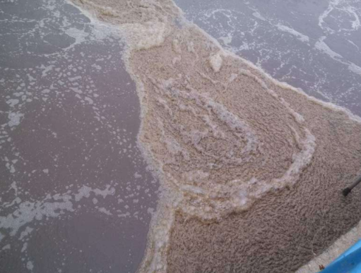 曝氣池消泡劑應(yīng)用場景.png