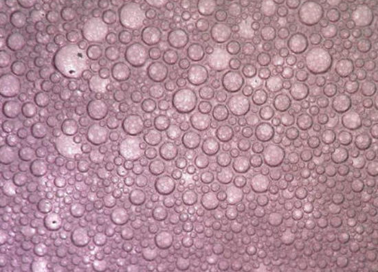 微生物消泡劑應用場景.png